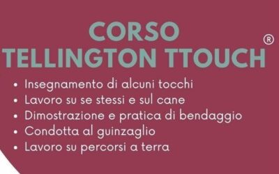Tellington TTouch&reg;: il cane insicuro, timido, pauroso