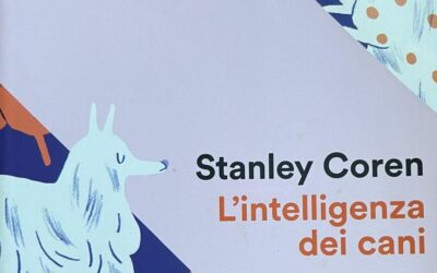 L’intelligenza dei cani