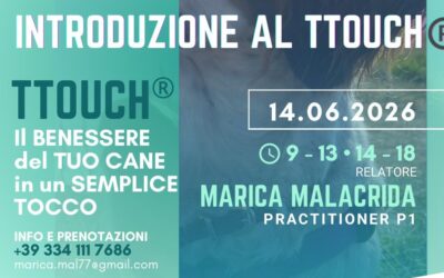 Seminario di Tellington TTouch&reg; in Piemonte