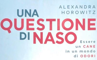Una questione di naso