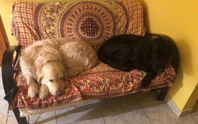 Vita con Ebony e Ivory 15