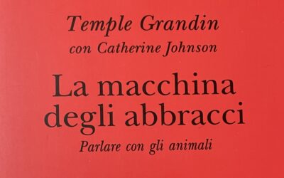 La macchina degli abbracci
