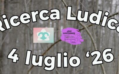Ricerca ludica