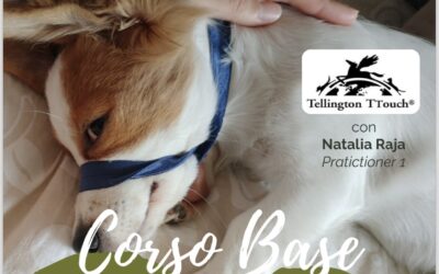 Corso base Tellington TTouch&reg;