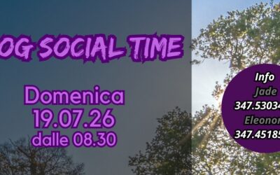 Dog Social Time