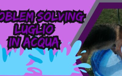 Problem solving in acqua