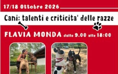 Cani: talenti e criticit&agrave; delle razze