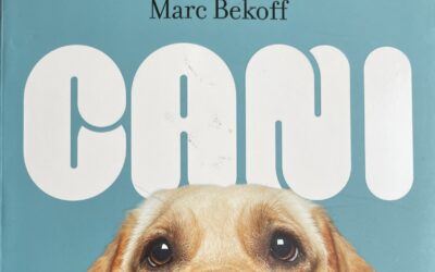 Cani