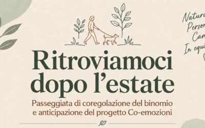 Passeggiata di coregolazione