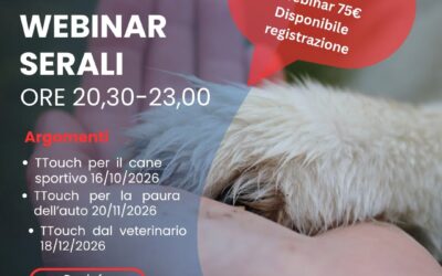 Tellington TTouch&reg; e sport, automobile e veterinario